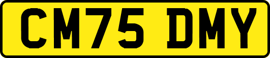 CM75DMY