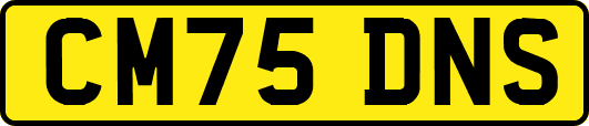 CM75DNS