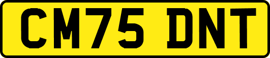 CM75DNT