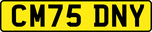 CM75DNY