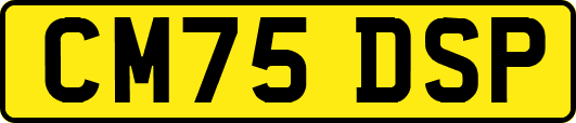 CM75DSP