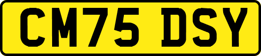 CM75DSY