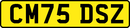 CM75DSZ