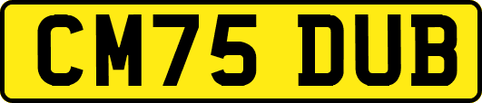 CM75DUB