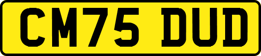 CM75DUD