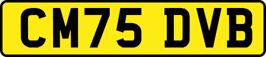 CM75DVB