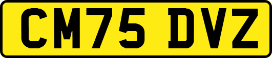 CM75DVZ