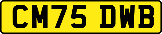 CM75DWB