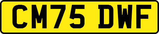 CM75DWF