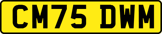 CM75DWM
