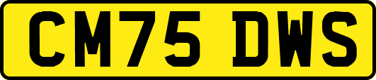 CM75DWS