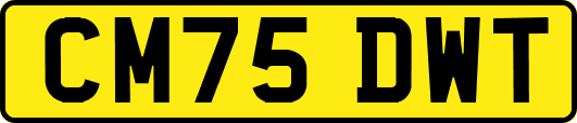CM75DWT
