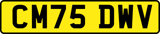 CM75DWV