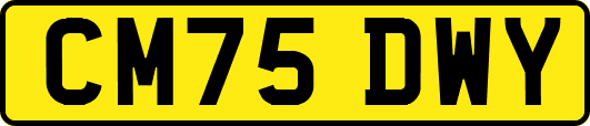 CM75DWY