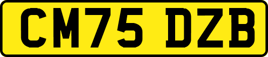 CM75DZB