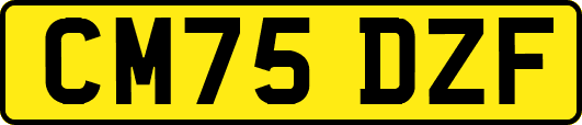 CM75DZF