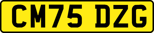 CM75DZG
