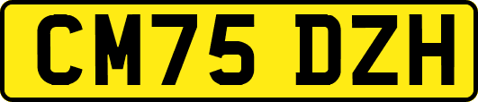 CM75DZH