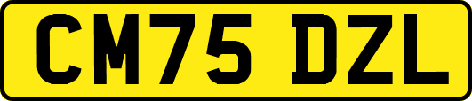 CM75DZL