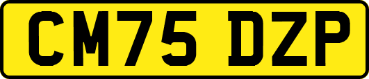 CM75DZP