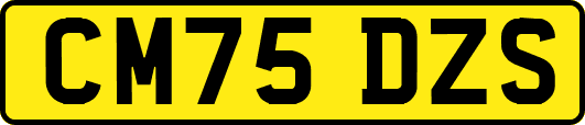 CM75DZS