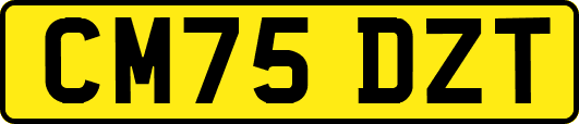 CM75DZT