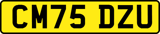 CM75DZU