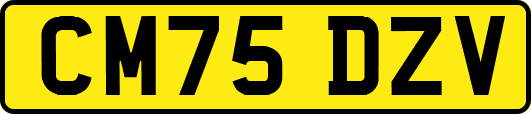 CM75DZV