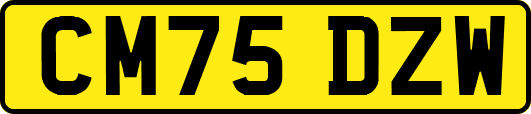 CM75DZW