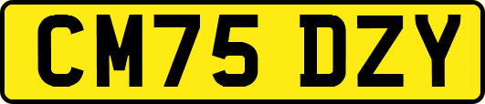 CM75DZY