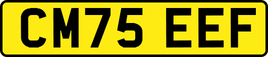 CM75EEF