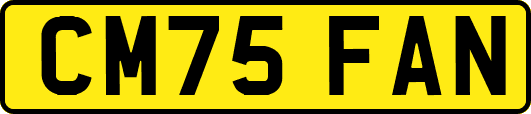CM75FAN