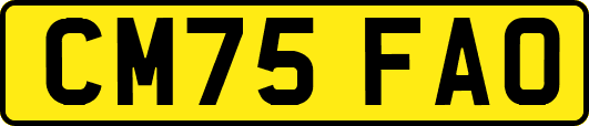 CM75FAO