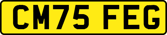 CM75FEG