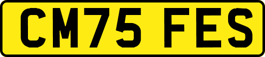 CM75FES