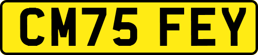 CM75FEY