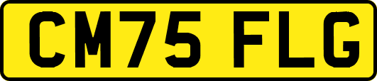 CM75FLG