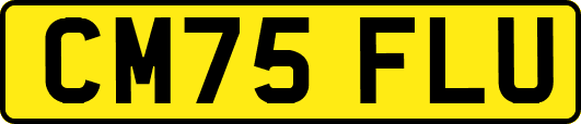 CM75FLU