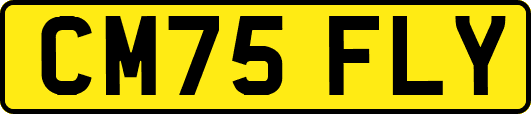 CM75FLY