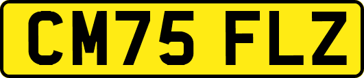 CM75FLZ