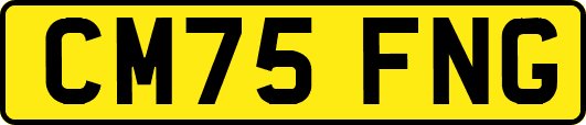CM75FNG