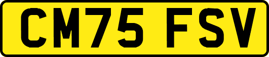 CM75FSV