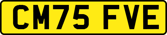 CM75FVE