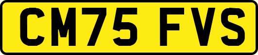 CM75FVS