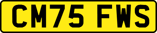 CM75FWS