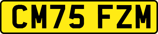 CM75FZM