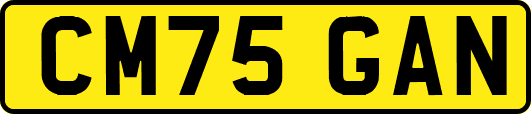 CM75GAN