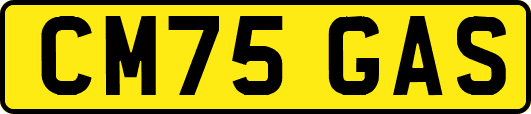 CM75GAS