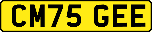 CM75GEE