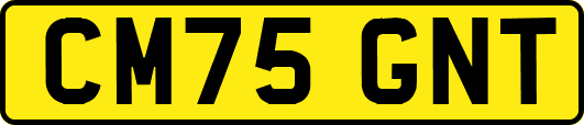 CM75GNT